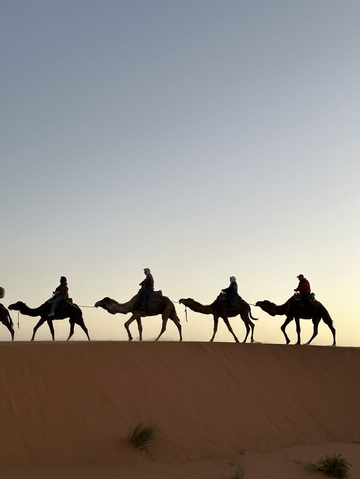 Camel Trek