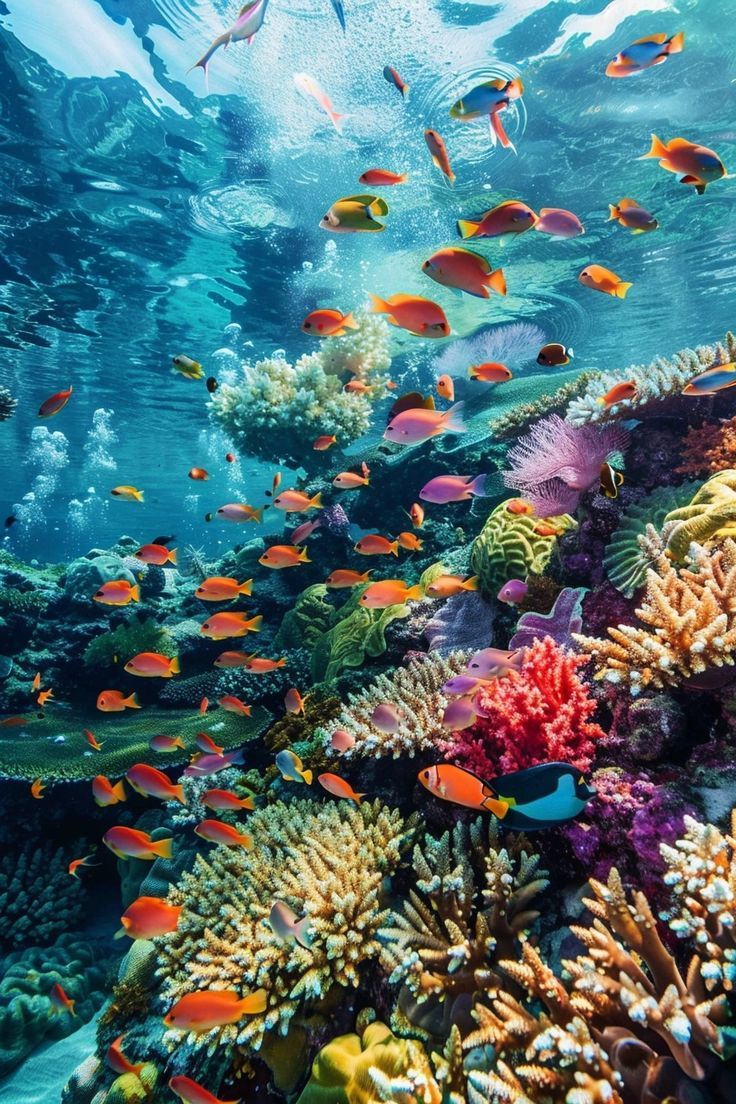Marine Life