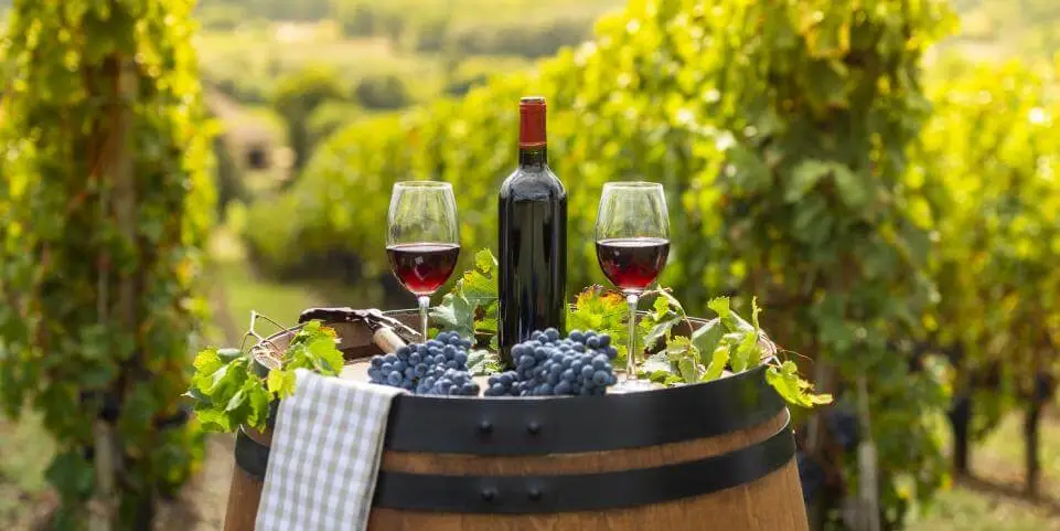 Bordeaux Wine